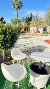 La burbuja Cartagena - Portús