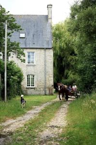 Maisons de vacances La Ferme de Franqueville -Big Gite- : photos des chambres