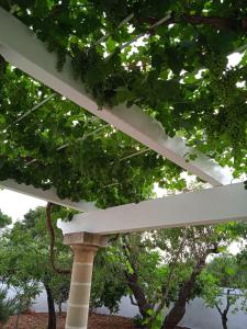 Villa Torre Bianca - Luxury Home