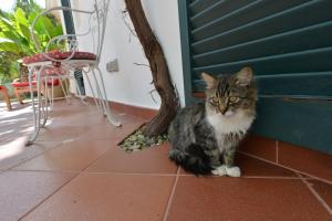 Villa Torre Bianca - Luxury Home