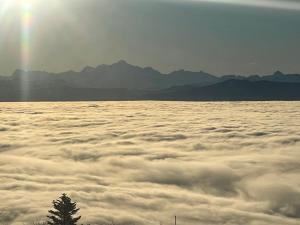 Grand Chalet dArchitecte