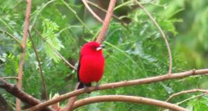 Apartment 2 at Casa Danni