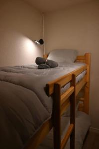 Appart cosy proche des pistes de ski AX 3 DOMAINES