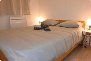 Appart cosy proche des pistes de ski AX 3 DOMAINES