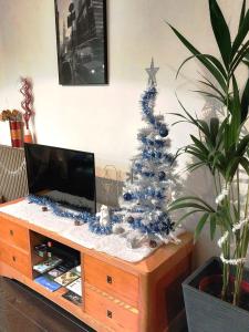 Appartements Cosy F1 avec grande terrasse a 2 pas du tramway : photos des chambres