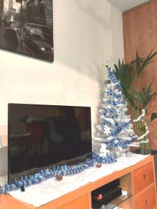 Appartements Cosy F1 avec grande terrasse a 2 pas du tramway : photos des chambres