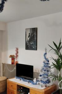 Appartements Cosy F1 avec grande terrasse a 2 pas du tramway : photos des chambres