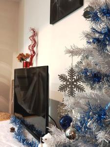 Appartements Cosy F1 avec grande terrasse a 2 pas du tramway : photos des chambres