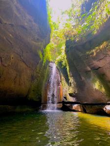 Ayongs Adventure Park