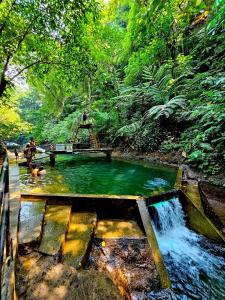 Ayongs Adventure Park