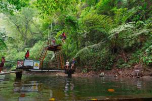 Ayongs Adventure Park