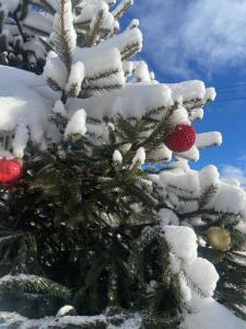 Karpatskyi Kalejdoskop