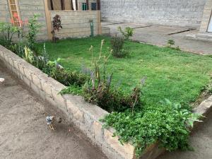 the calabash,tiny home