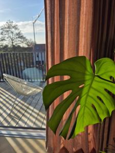 Julies appartement aan zee - JAAZ