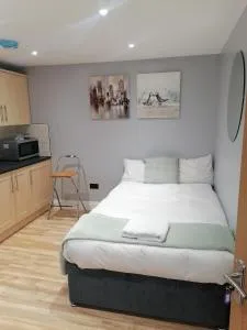 stunning, chic & bright studio apartment - Studham