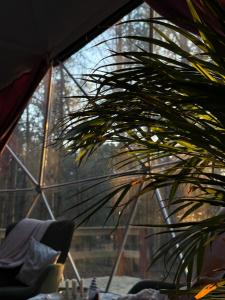 Kamieńczyk Glamp - pod Warszawą