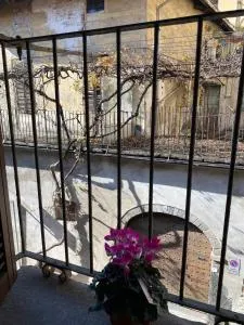 La Coccinella - 皮内罗洛