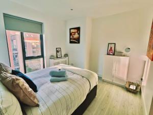 Coastal Gem 10 Mins from Dublin Airport