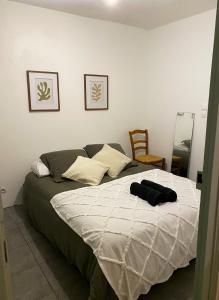 Maisons de vacances Au charme Amboisien, maison centre ville avec jardin : photos des chambres