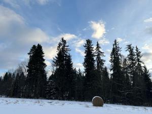 Domki u Marii- agroturystyka