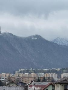 Luxury Glam Apartments Coresi Mall Area