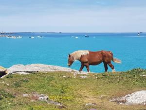 Maisons de vacances Charmante maison bretonne proche de la mer : photos des chambres