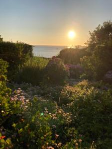 Maisons de vacances Charmante maison bretonne proche de la mer : photos des chambres