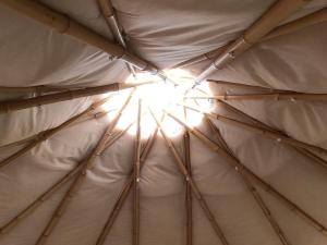 Terra Cristal - Ágata