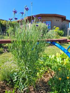 Terra Cristal - Ágata