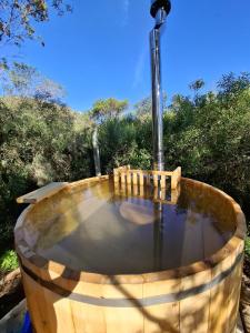 Terra Cristal - Ágata