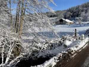 Maisons de vacances La Hutte : photos des chambres