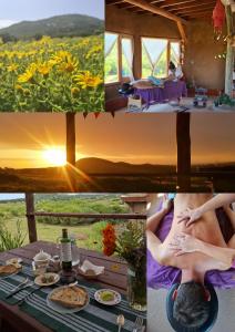 Terra Cristal - Ágata