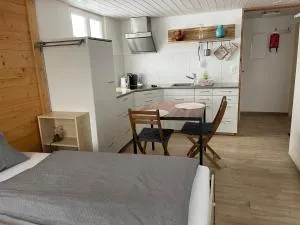 Bijou 1 Hübsche 1 Zimmer Wohnung - Arnegg