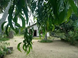 House of Freedom - Weligatta