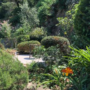 Villas Villa Monte Cassino : photos des chambres