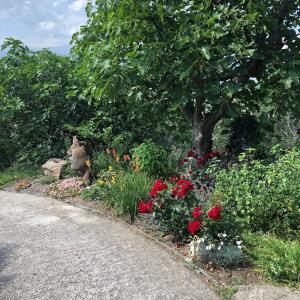 Villas Villa Monte Cassino : photos des chambres