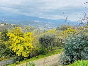 Villas Villa Monte Cassino : photos des chambres
