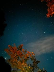 Casa amplia con piscina y quincho
