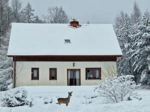 Dom Na Pstrążnicy - Machov