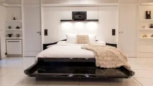 Black & White Suite & SPA - Sauna & Jacuzzi - 圣雷米·莱谢夫勒斯