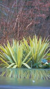 Black & White Suite & SPA - Sauna & Jacuzzi