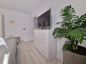 Elite Apartment Onesti