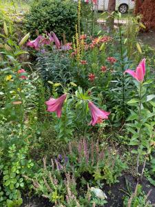 Świerkowe Ranczo Raciszewo