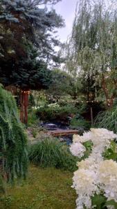 Świerkowe Ranczo Raciszewo