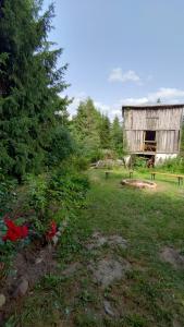 Świerkowe Ranczo Raciszewo