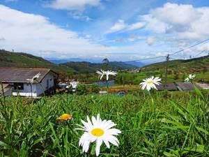 Relax Apartment Toppass