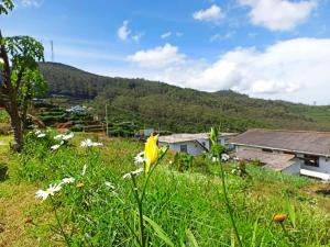 Relax Apartment Toppass