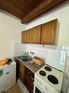 Apartmani Tara Vila Isidora