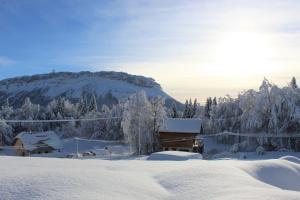 Chalets La Cabane du Lys : photos des chambres