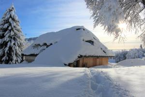 Chalets La Cabane du Lys : photos des chambres